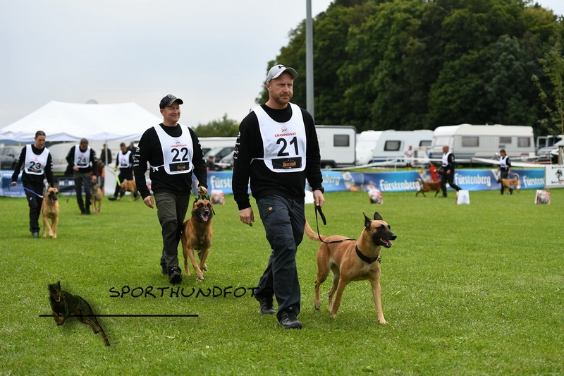 Impressionen 673.jpg